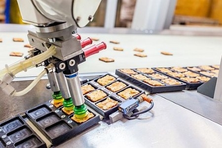 FANUC robots increase rate of food production